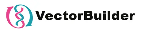Vector Builder