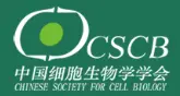 Chinese Society of Cell and Gene Therapy (branch of the Chinese Society for Cell Biology (CSCB))